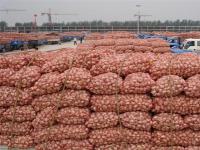 河南杞县2020年大蒜面积达70万亩 年产大蒜96万吨