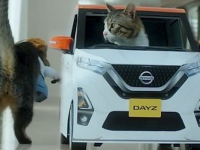 日产汽车宣布了一项针对其Dayz kei汽车的广告活动