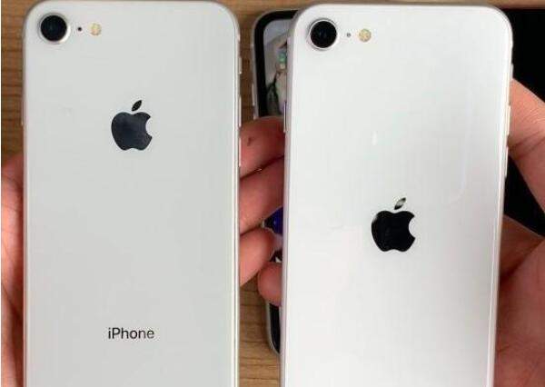 iPhone12上市旧款将降价,iPhoneSE2和iPhone8/XR/11怎么选