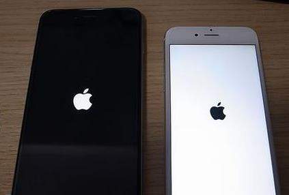 iPhone出现白苹果怎么办?黑屏无限循环怎么解决?