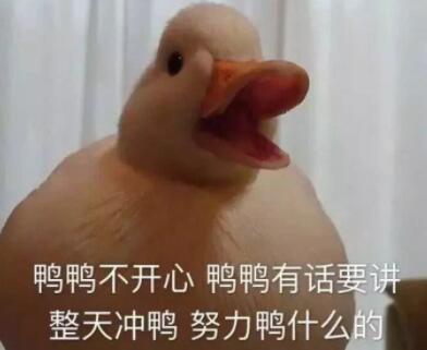 duck不必是什么梗啥意思 duck不必怎么来的出处