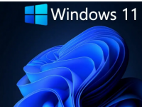 WINDOWS 11可能作为WINDOWS 7和 8.1用户的免费升级