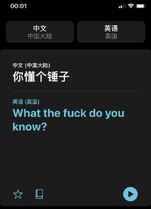 iOS14的翻译太懂了!网络流行语也能识别!