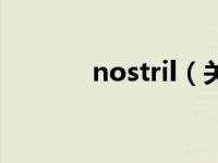 nostril（关于nostril的介绍）