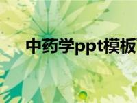 中药学ppt模板下载（中药学ppt课件）