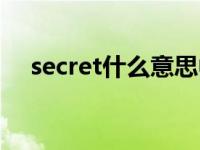 secret什么意思中文（secret什么意思）