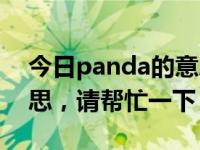今日panda的意思是什么（panda是什么意思，请帮忙一下，谢谢）