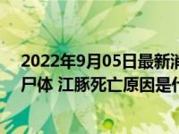 2022年9月05日最新消息速报 驴友在鄱阳湖湖滩发现江豚尸体 江豚死亡原因是什么