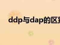 ddp与dap的区别（DDP与DAP的区别）