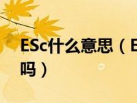 ESc什么意思（Esc 是什么意思 有什么含义吗）