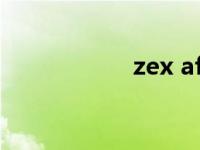 zex afb（zex 201）