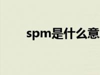 spm是什么意思（spm是什么意思）