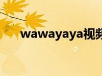 wawayaya视频（wawayaya时空港）