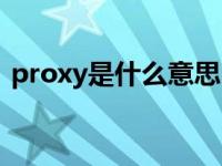 proxy是什么意思中文（proxy是什么意思）