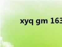 xyq gm 163 cn（xyq gm 163）