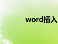 word插入目录（word插入）