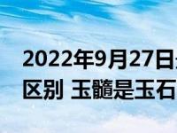 2022年9月27日最新消息速报 玉髓和玛瑙的区别 玉髓是玉石吗