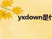 yxdown是什么软件（yxdown）
