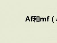 Af和mf（af mf是什么意思）