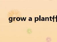 grow a plant什么意思（grow a pair）