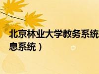 北京林业大学教务系统网站（北京林业大学学生工作管理信息系统）