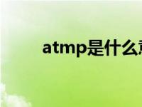 atmp是什么意思（ATMP是什么）
